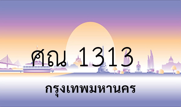 ศณ 1313